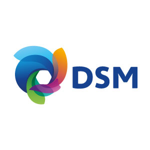 DSM